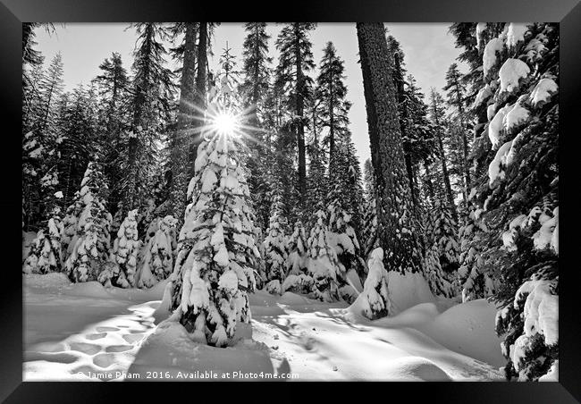 Winter Wonderland of Badger Pass in Yosemite Natio Framed Print by Jamie Pham