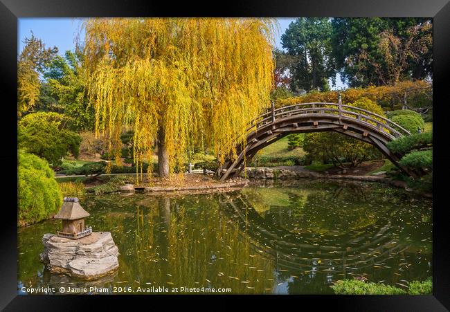 The beautiful fall colors of the Japanese Gardens Framed Print by Jamie Pham
