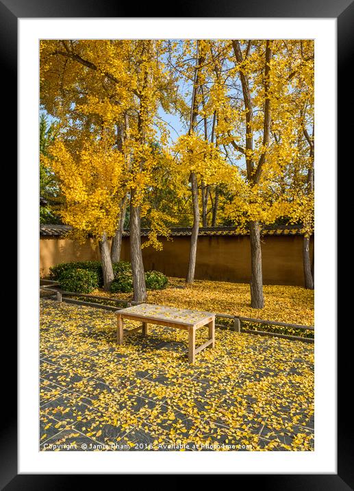 Golden Seat Framed Mounted Print by Jamie Pham