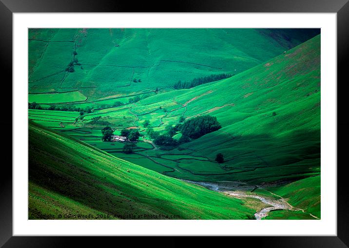 Green Valley, Lake District Framed Mounted Print by Colin Woods