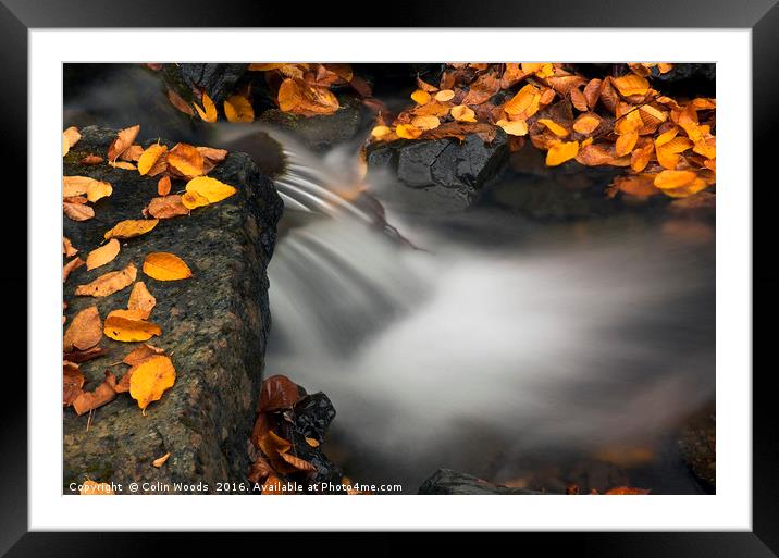 Fallen Leaves and Waterfall Framed Mounted Print by Colin Woods