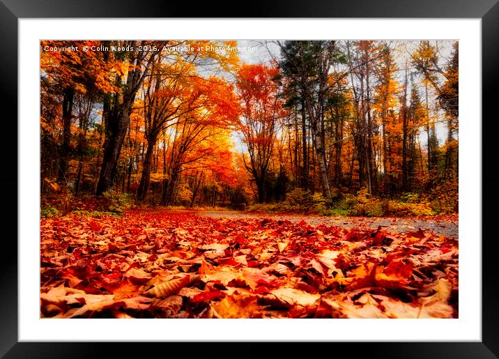 Country Lane in  Autumn in Quebec Framed Mounted Print by Colin Woods