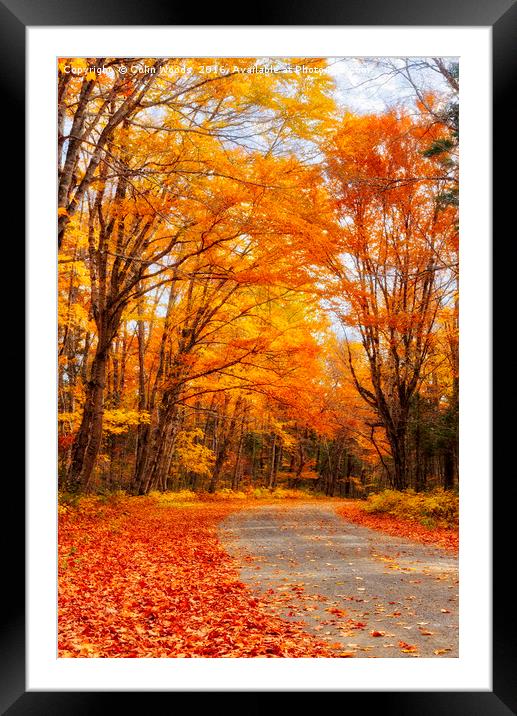 Autumn in Quebec Framed Mounted Print by Colin Woods