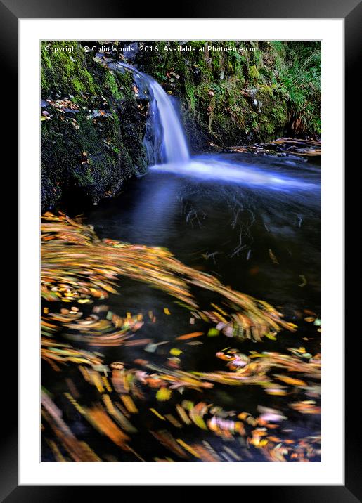 Autumn Leaves moving in a River Framed Mounted Print by Colin Woods
