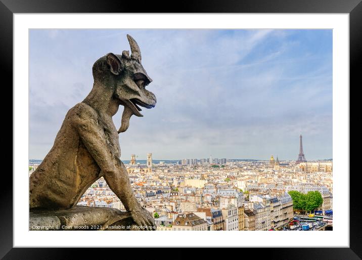 Paris from the Notre Dame de Paris  Framed Mounted Print by Colin Woods