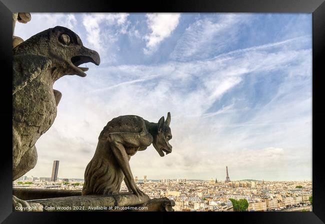 Paris from the Notre Dame de Paris tower Framed Print by Colin Woods