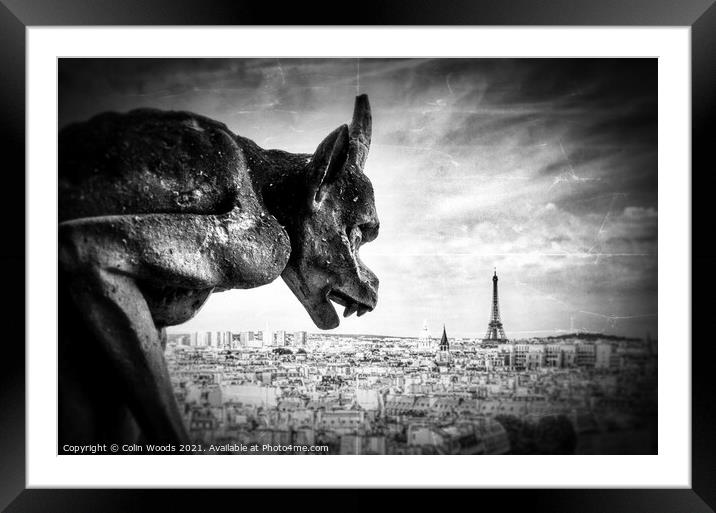 Paris from the Notre Dame de Paris  Framed Mounted Print by Colin Woods
