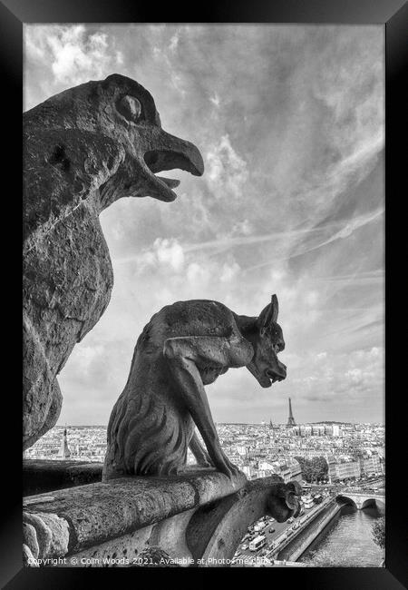 Paris from the Notre Dame de Paris  Framed Print by Colin Woods