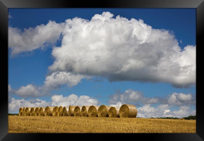 White Clouds over Hay Bales Framed Print by Arterra 