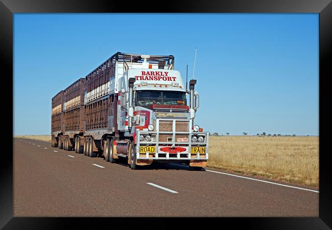 Livestock Road Train, Australia Framed Print by Arterra 