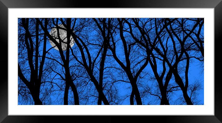 Spooky Trees at Full Moon Framed Mounted Print by Arterra 