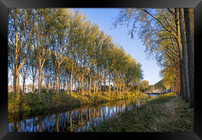 Trees along the Schipdonk Canal, Damme Framed Print by Arterra 