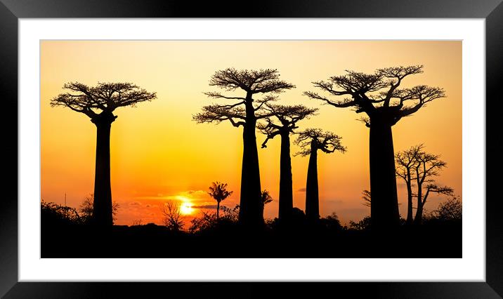 Madagascar at Sunset Framed Mounted Print by Arterra 