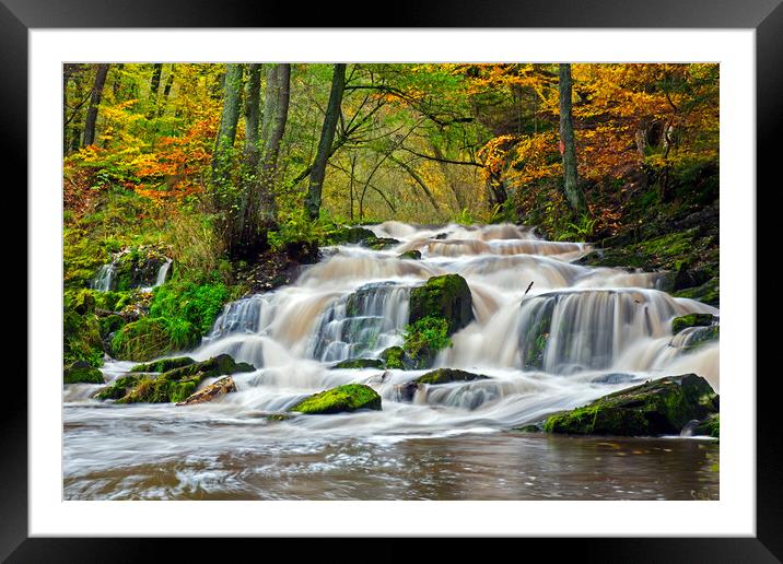 Waterfall in Autumn Forest Framed Mounted Print by Arterra 