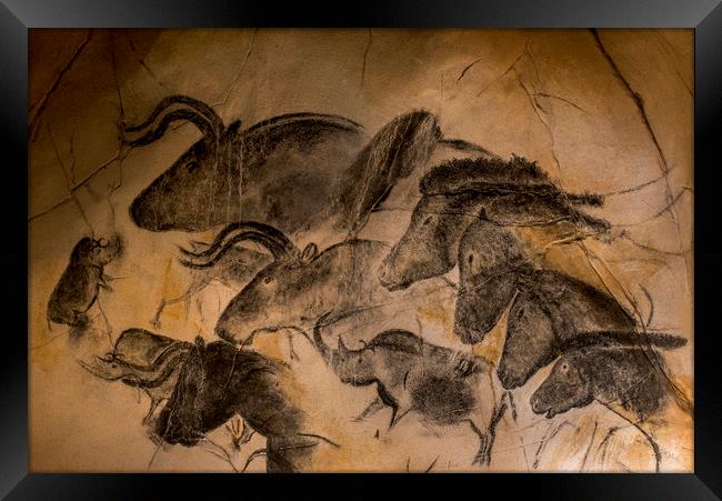 Chauvet Cave Framed Print by Arterra 