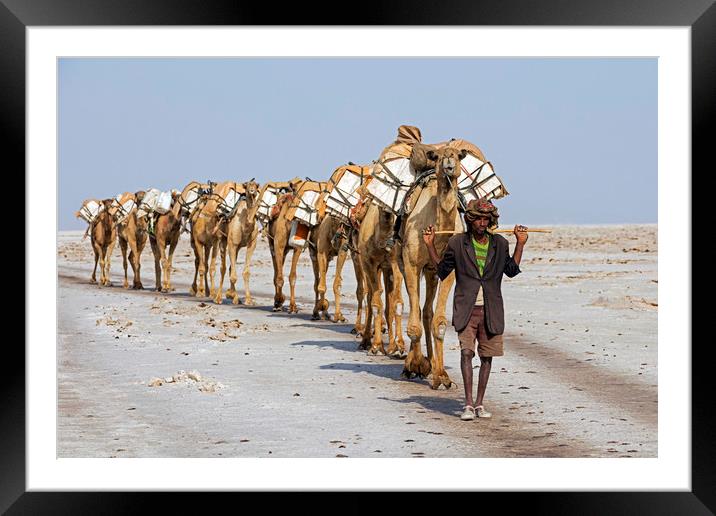 Salt Caravan, Ethiopia Framed Mounted Print by Arterra 