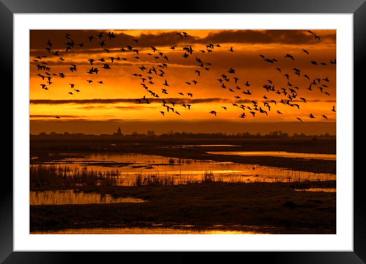Flock of Ducks Flying over Wetland Framed Mounted Print by Arterra 