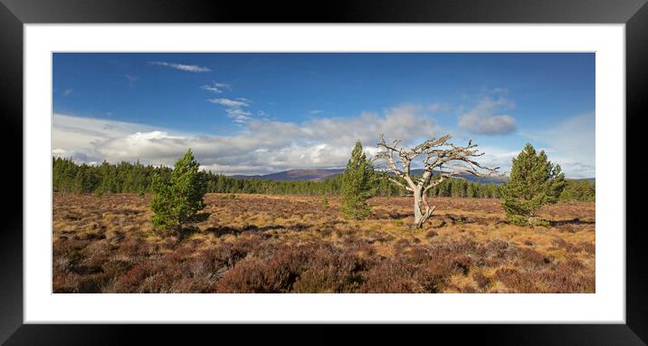 Cairngorms National Park, Scotland Framed Mounted Print by Arterra 
