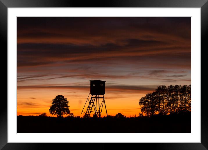 Hunting Stand at Sunset Framed Mounted Print by Arterra 