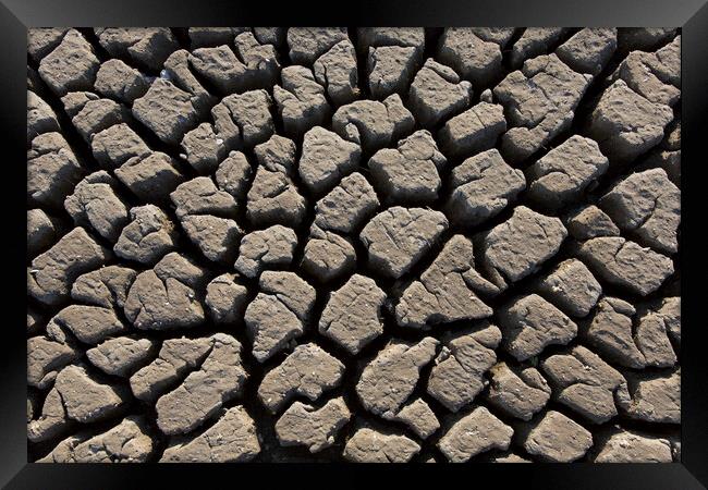 Abstract Pattern of Dry Cracked Clay Mud Framed Print by Arterra 