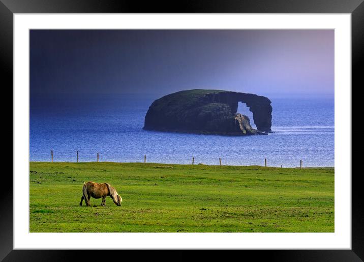 Dore Holm and Shetland Pony during Downpour Framed Mounted Print by Arterra 