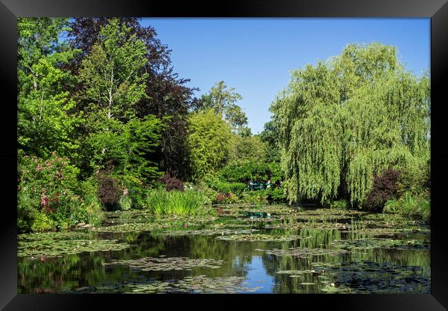 Water Lily Pond in Monet's Garden, Giverny Framed Print by Arterra 