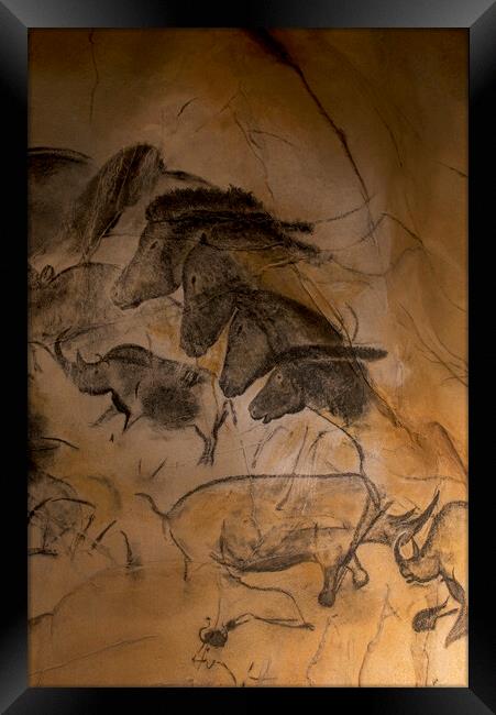 Chauvet Cave Art Framed Print by Arterra 