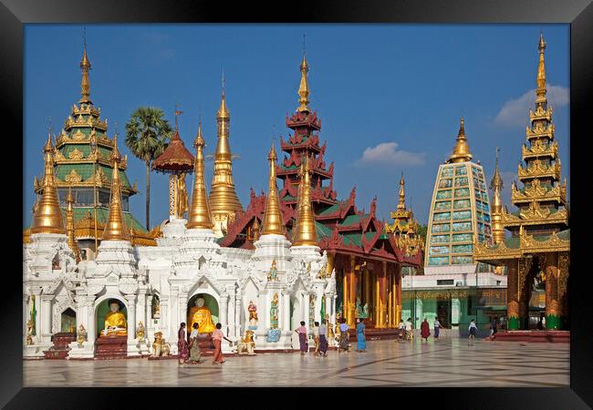 Shwedagon Zedi Daw Pagoda at Yangon / Rangoon, Myanmar Framed Print by Arterra 