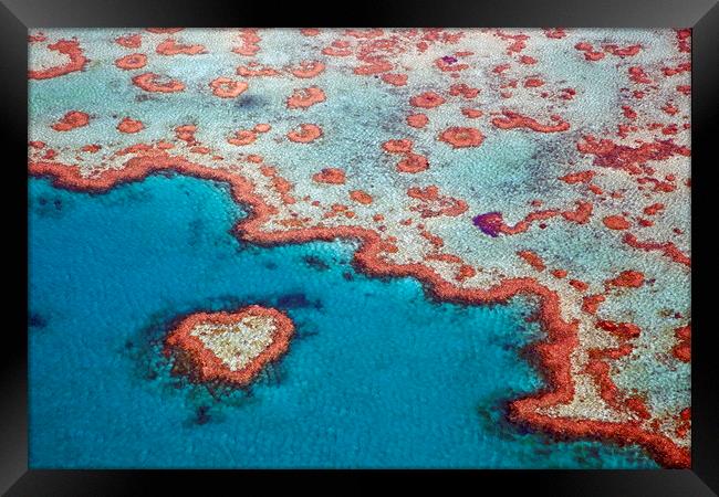 Heart Reef in the Great Barrier Reef, Australia Framed Print by Arterra 