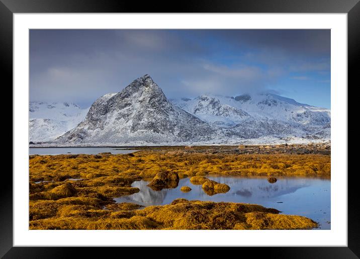 Malnesvik in Winter, Vestvågøya, Lofoten Framed Mounted Print by Arterra 