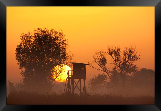 Raised Hunting Stand at Sunrise Framed Print by Arterra 