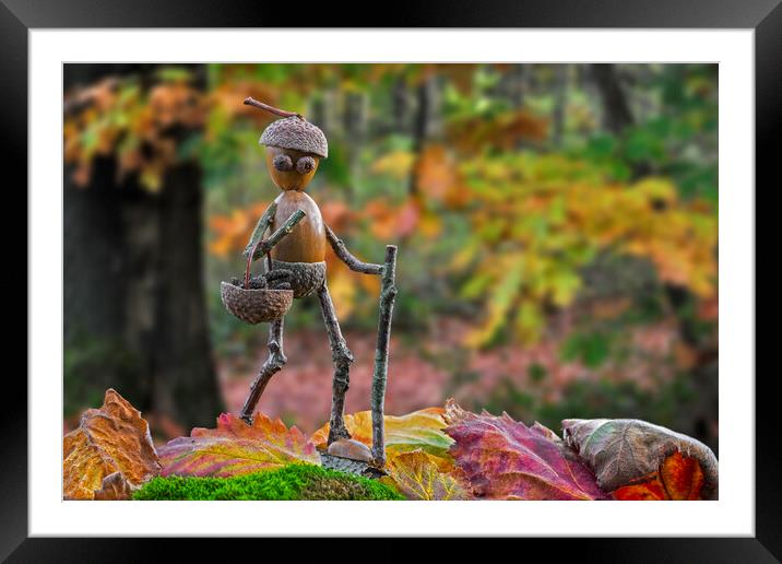Little Acorn Man Walking in Autumn Forest Framed Mounted Print by Arterra 