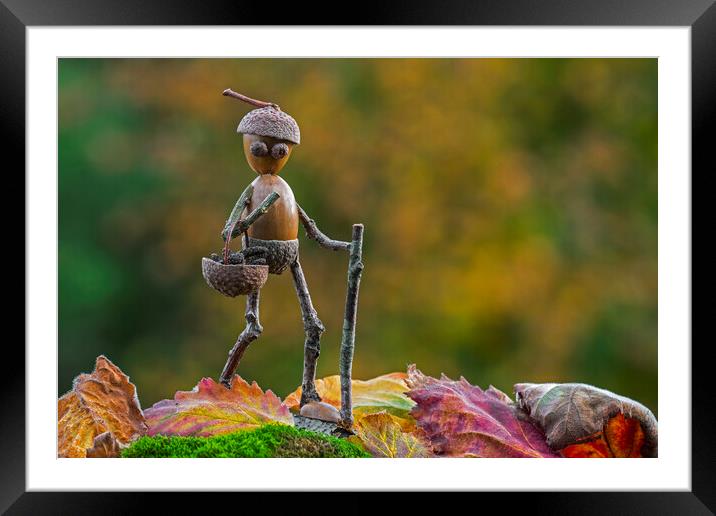 Little Acorn Man Walking in Autumn Framed Mounted Print by Arterra 