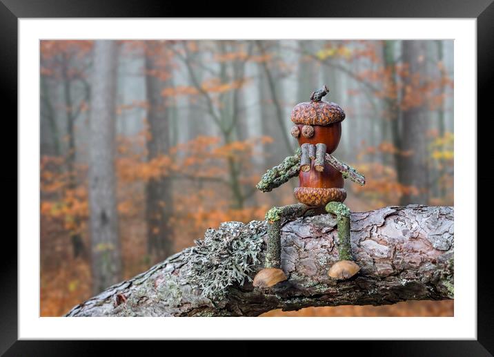 Little Acorn Birdwatcher in Tree Framed Mounted Print by Arterra 