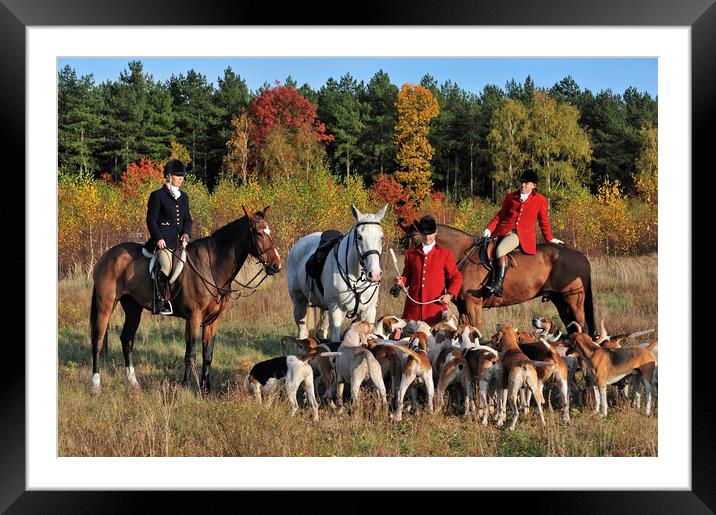 Hunters and Hounds in Autumn Framed Mounted Print by Arterra 