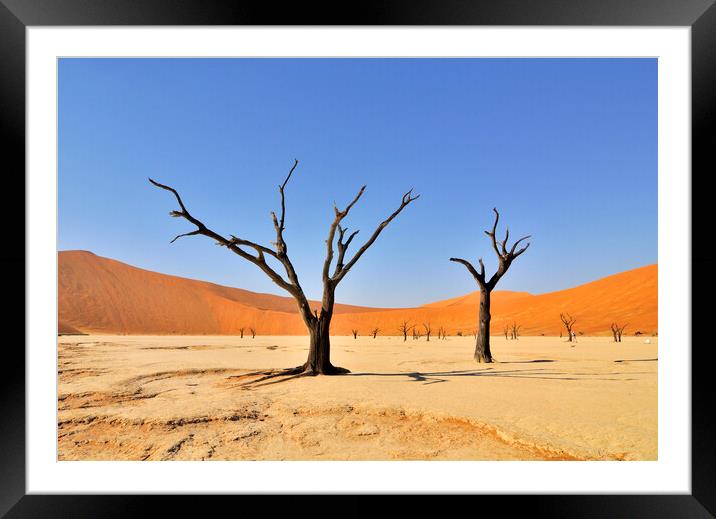 Dead Trees in Deadvlei, Namibia Framed Mounted Print by Arterra 