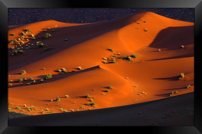 Sossusvlei in the Namib Desert Framed Print by Arterra 