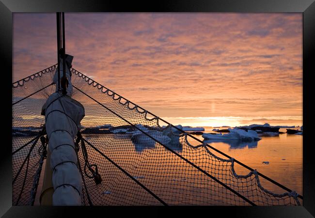 Sailing at Sunset, Antarctica Framed Print by Arterra 