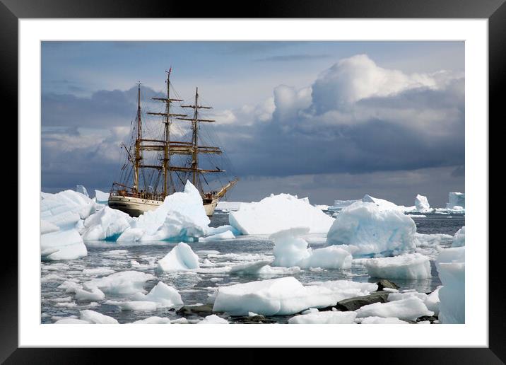 Tallship Europa in Antarctica Framed Mounted Print by Arterra 