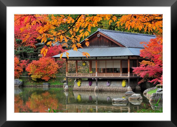 Tea House in Japanese Garden in Autumn Framed Mounted Print by Arterra 