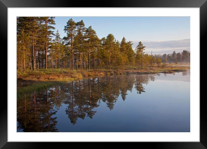 Forest Reflection in Lake Framed Mounted Print by Arterra 