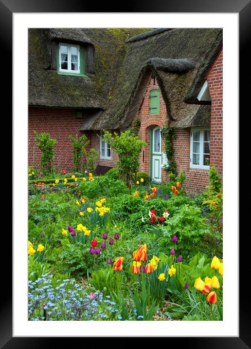 Colourful Flowers in Front Garden Framed Mounted Print by Arterra 