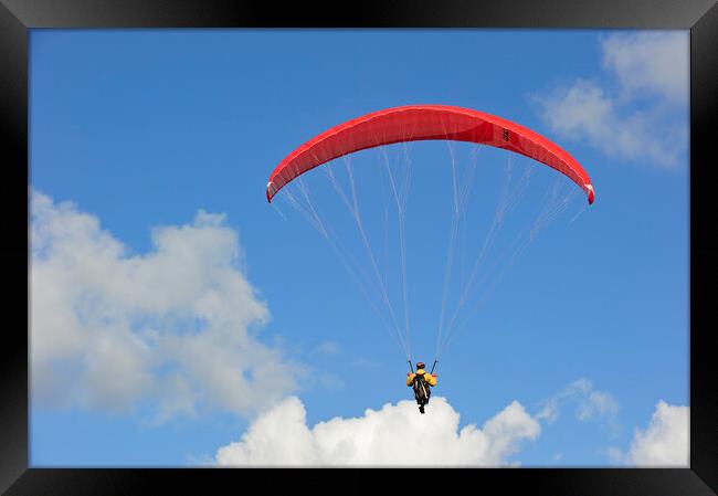 Paraglider Framed Print by Arterra 