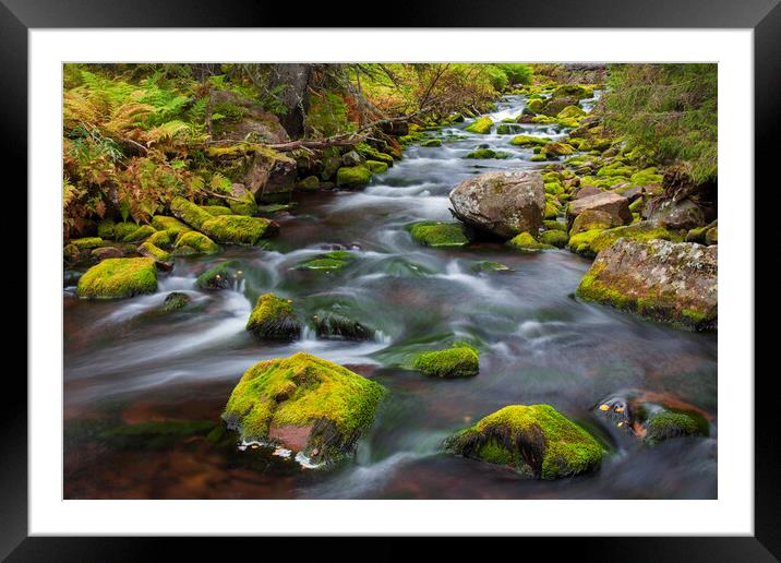 Forest Stream in Autumn Framed Mounted Print by Arterra 