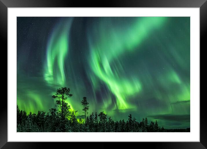 Northern Lights in Sweden Framed Mounted Print by Arterra 