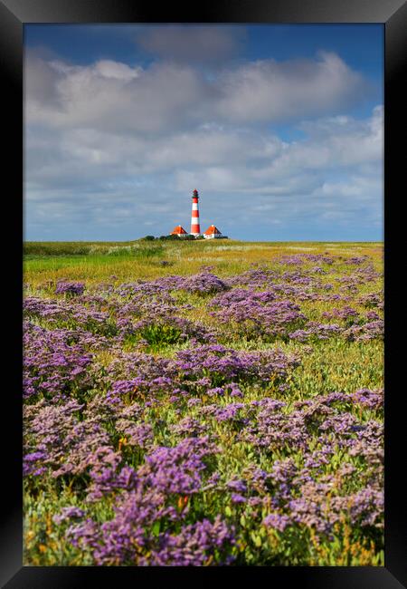 Sea-Lavender and Lighthouse Westerheversand Framed Print by Arterra 