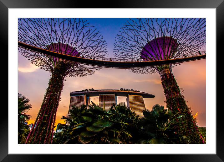Marina Bay Sands, Singapore  Framed Mounted Print by Jordan Sapey
