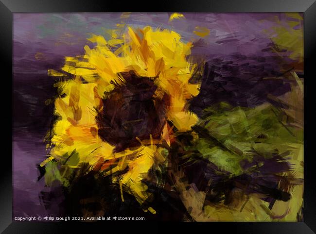 Sunflower Framed Print by Philip Gough
