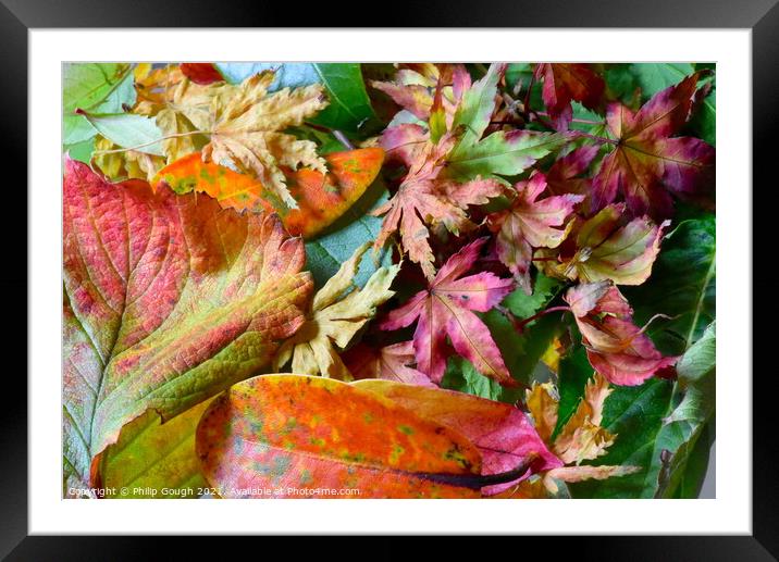 Autumn Leaves Colour Framed Mounted Print by Philip Gough