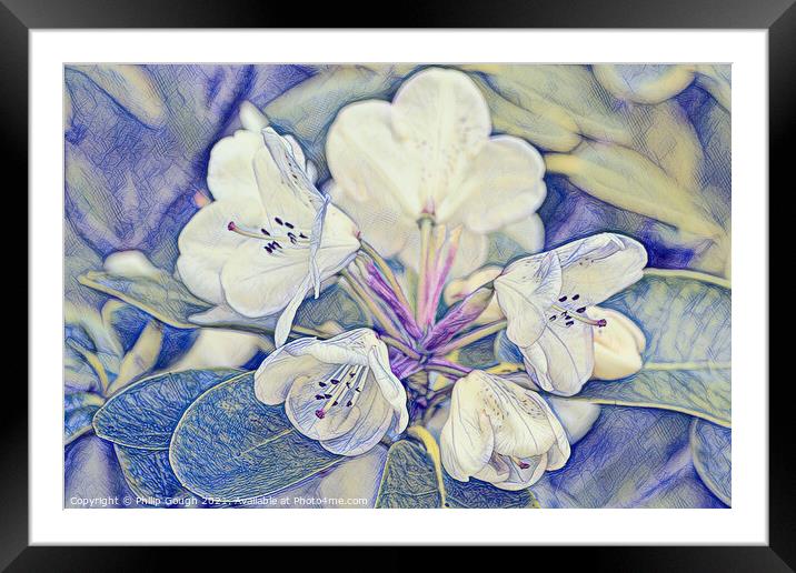 APPLE BLOSSOM Framed Mounted Print by Philip Gough